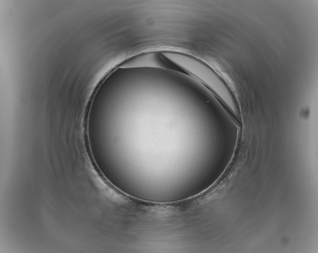 X0000091961189200709201337