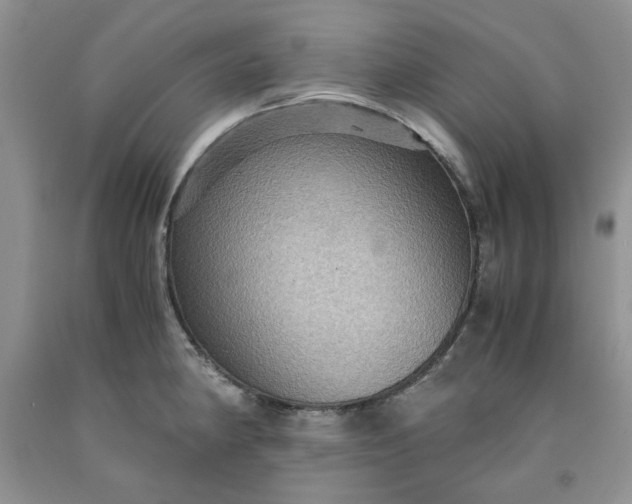 X0000091961190200709201337