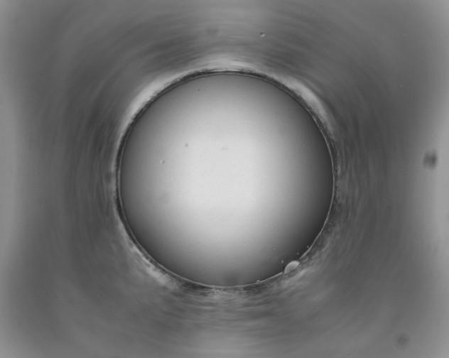 X0000091961191200709201337