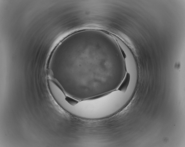 X0000091961192200709201337