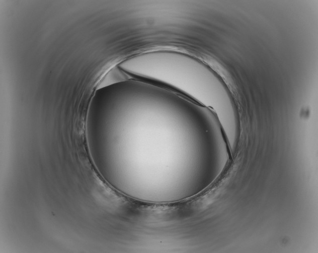 X0000091961193200709201337