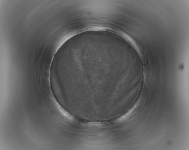 X0000091961194200709201337