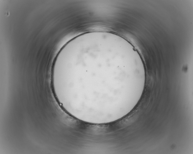 X0000091961195200709201337