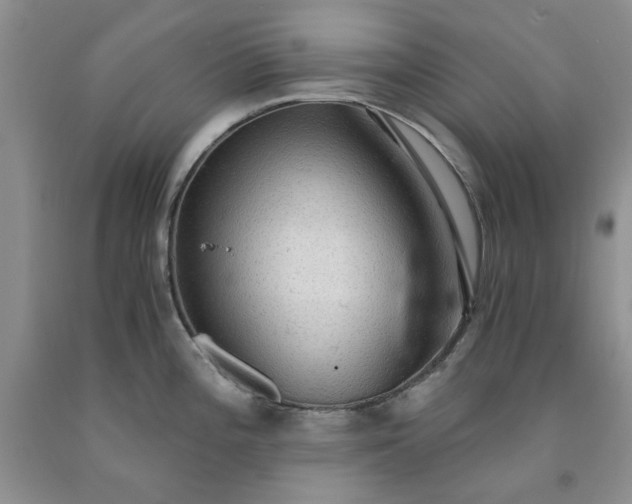 X0000091961196200709201337