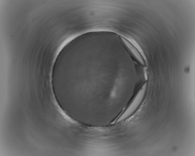 X0000091961197200709201337