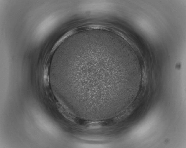 X0000091961198200709201337