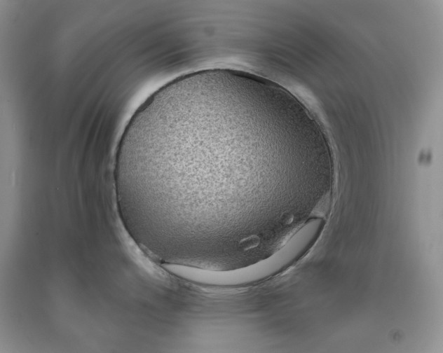 X0000091961200200709201337