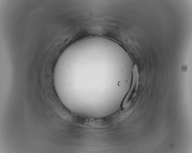 X0000091961201200709201336