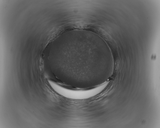 X0000091961202200709201336