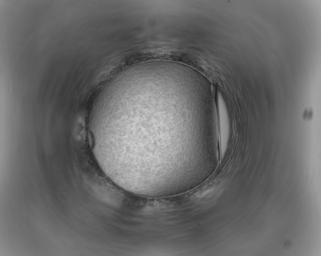 X0000091961203200709201336