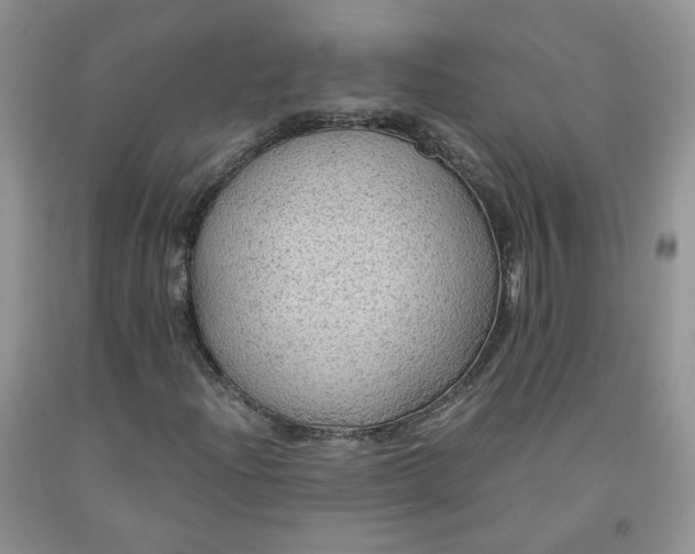 X0000091961204200709201336