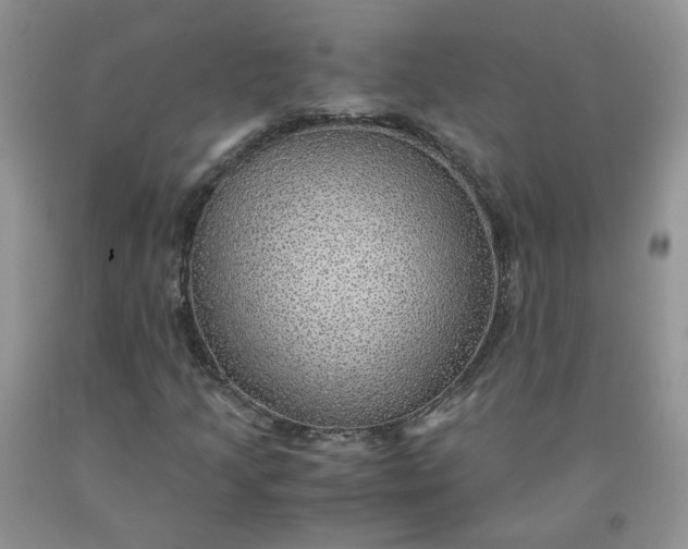 X0000091961205200709201336