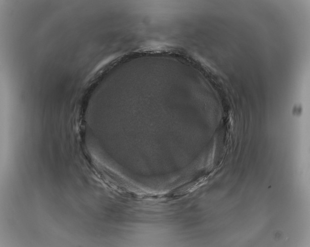 X0000091961206200709201336