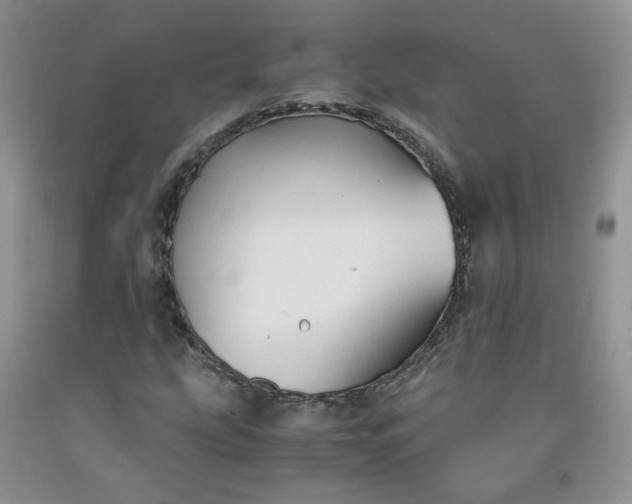 X0000091961207200709201336