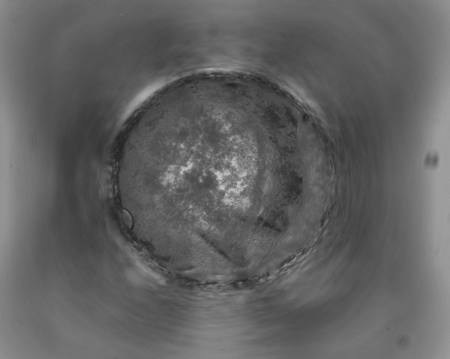 X0000091961208200709201336