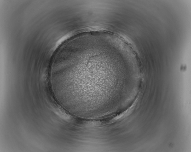 X0000091961210200709201336