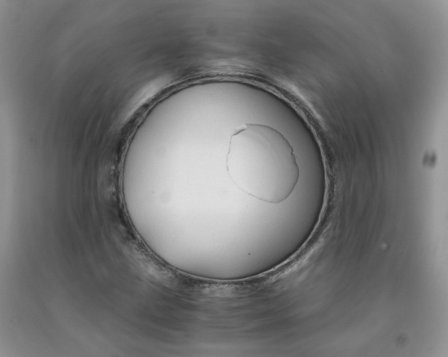 X0000091961211200709201336