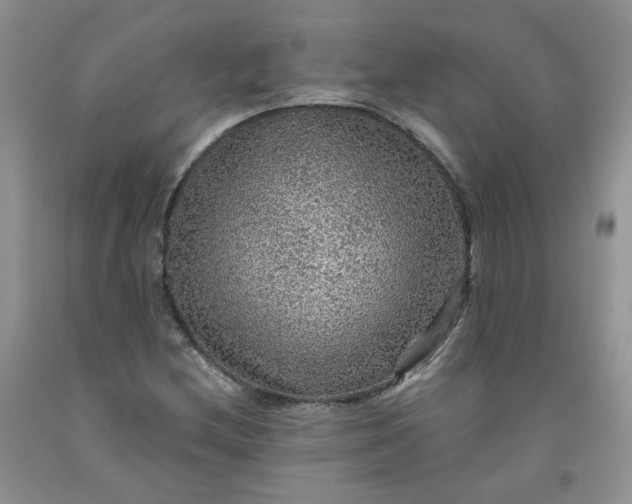 X0000091961212200709201336