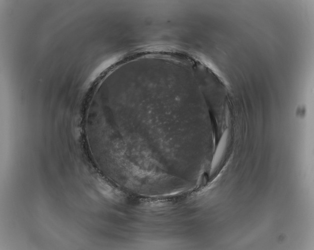 X0000091961213200709201336