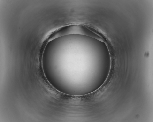 X0000091961214200709201336