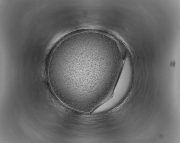 X0000091961215200709201336