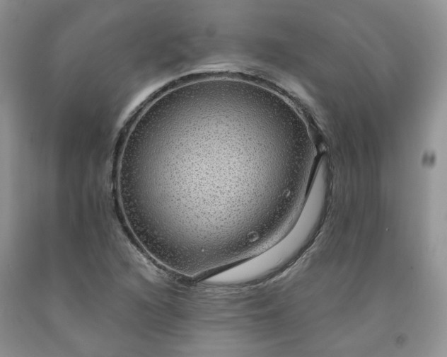 X0000091961216200709201337