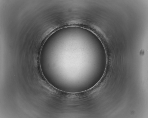 X0000091961217200709201337