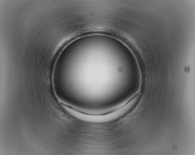 X0000091961218200709201337