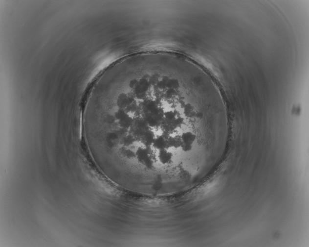 X0000091961219200709201337