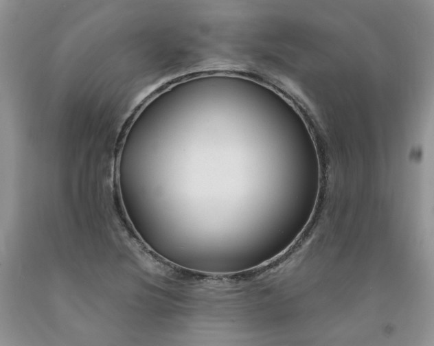 X0000091961220200709201337