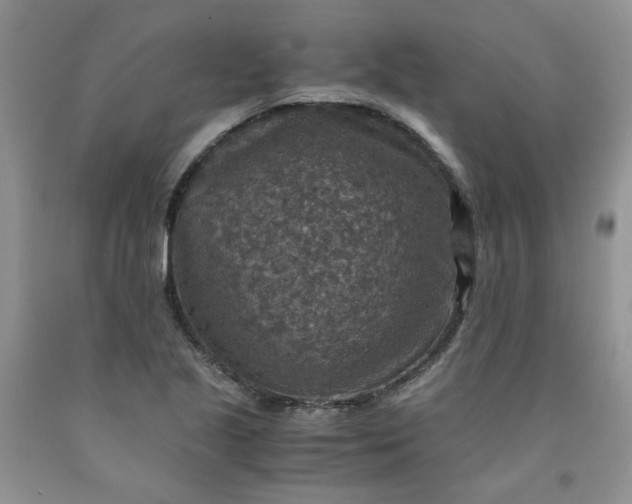 X0000091961221200709201337