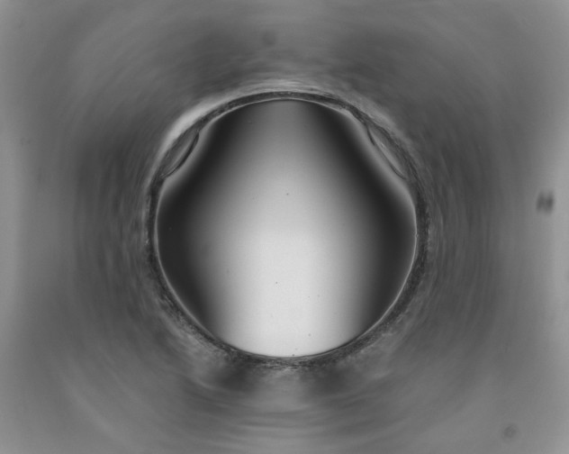 X0000091961222200709201337