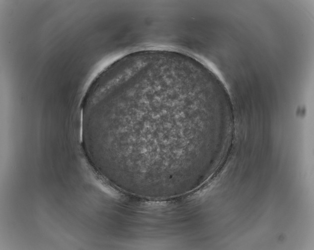 X0000091961223200709201337