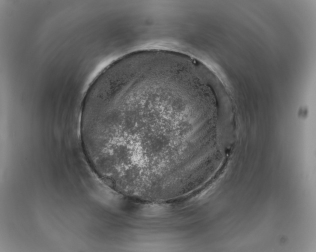 X0000091961224200709201337