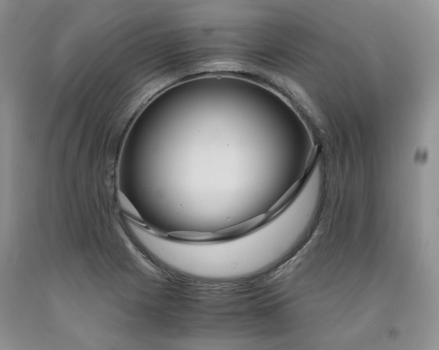 X0000091961225200709201337