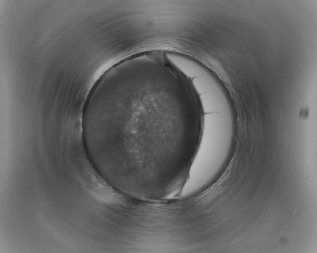 X0000091961226200709201337