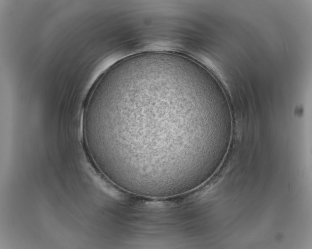 X0000091961227200709201337