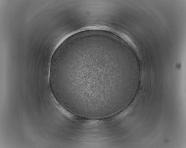 X0000091961228200709201337