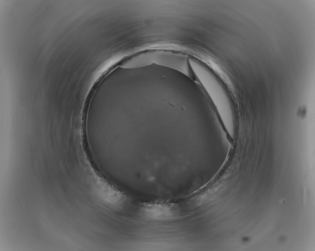 X0000091961229200709201337