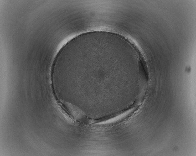 X0000091961230200709201337