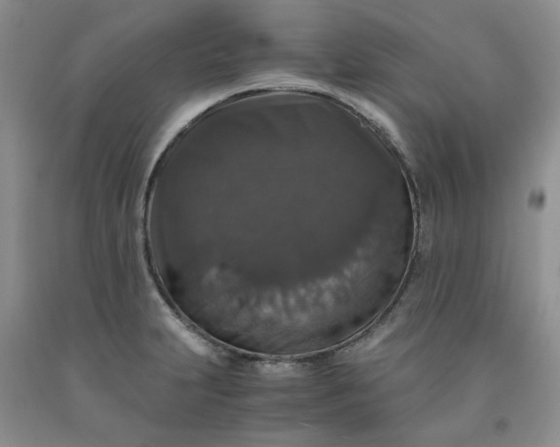 X0000091961231200709201337