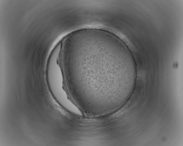 X0000091961232200709201337