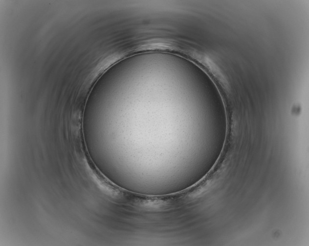 X0000091961233200709201337