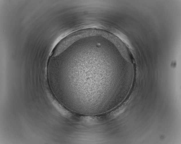 X0000091961234200709201337