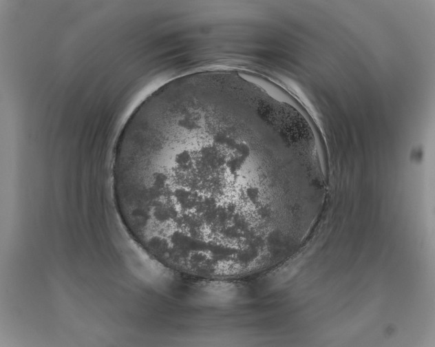 X0000091961235200709201337