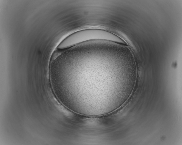 X0000091961236200709201337