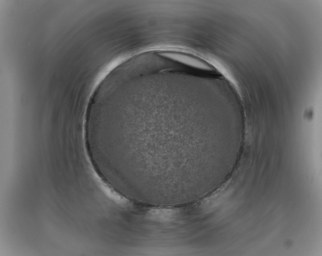 X0000091961237200709201337