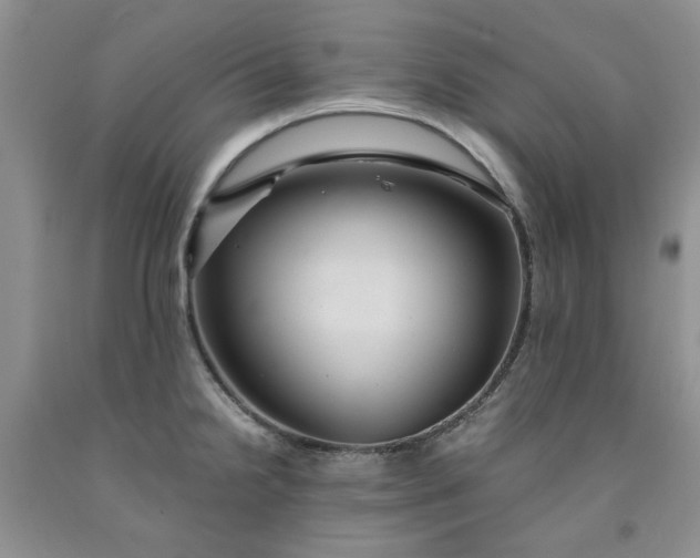 X0000091961238200709201337