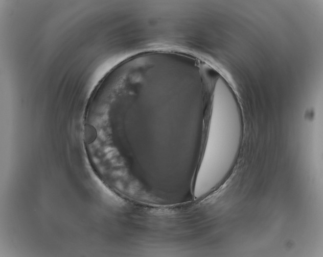 X0000091961239200709201337