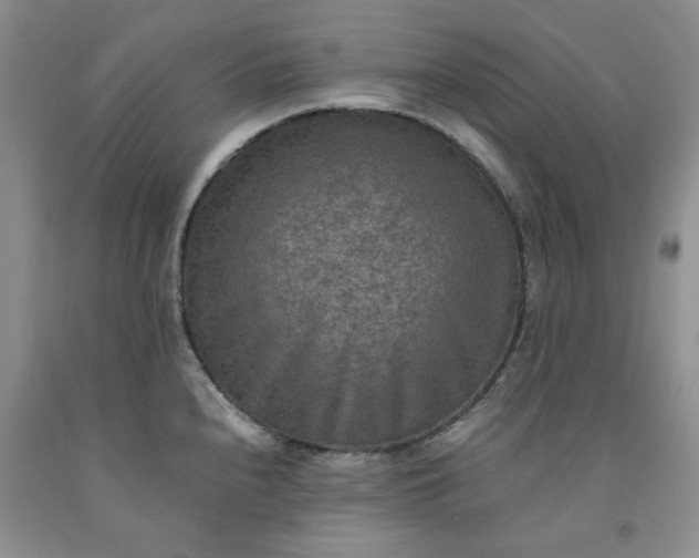 X0000091961240200709201337